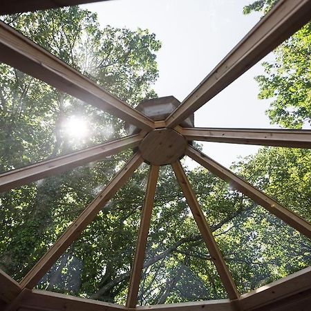 Romantic Treehouse With Hot Tub & Bbq Lodge Praze an Beeble Εξωτερικό φωτογραφία